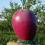 De Beausoleil La Romieu