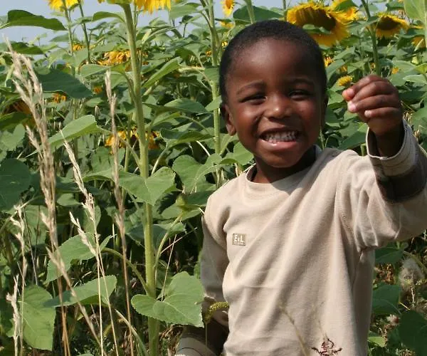De Beausoleil * La Romieu