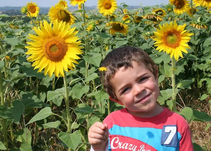 Bed & Breakfast De Beausoleil *