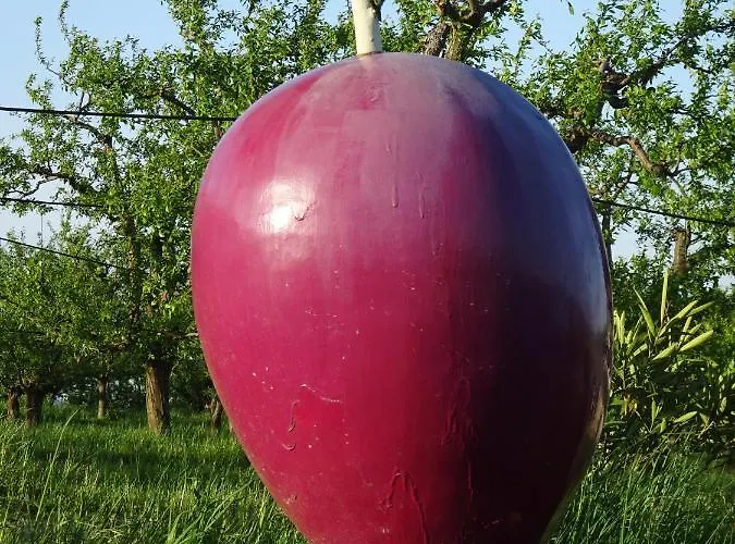 De Beausoleil La Romieu