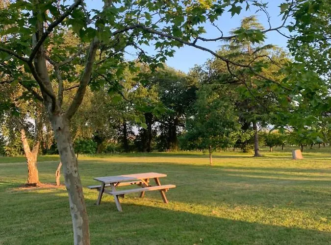 Bed & Breakfast De Beausoleil La Romieu