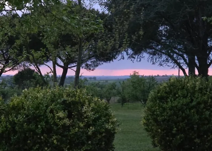 Bed & Breakfast De Beausoleil La Romieu