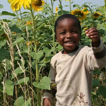 De Beausoleil * La Romieu