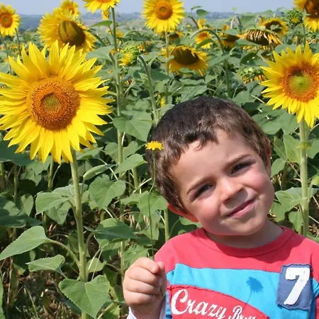 Oda ve Kahvaltı De Beausoleil *