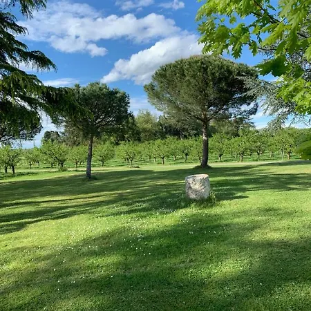 Bed and Breakfast De Beausoleil La Romieu