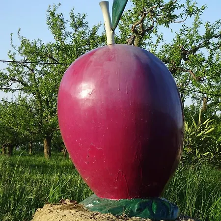 De Beausoleil La Romieu