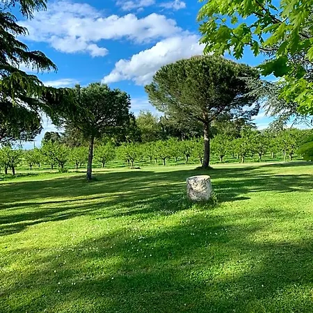 Bed & Breakfast De Beausoleil La Romieu