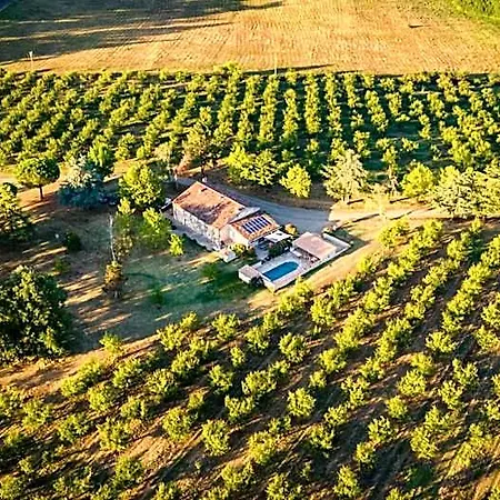 Bed & Breakfast De Beausoleil La Romieu