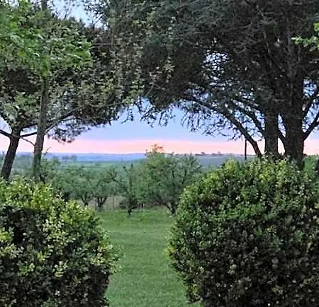 De Beausoleil Bed & Breakfast La Romieu